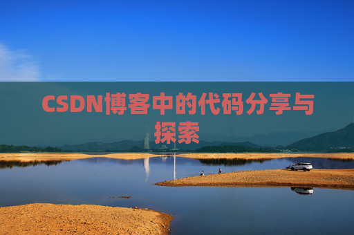 CSDN博客中的代码分享与探索